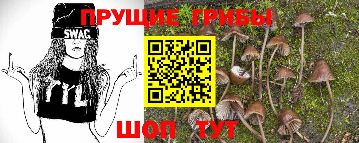 Псилоцибиновые грибы Psilocybine cubensis Трёхгорный