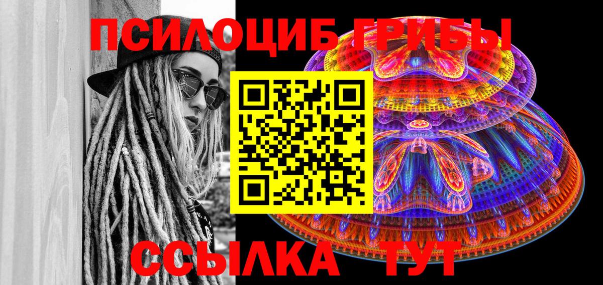 хочу   Вход с VPN  Трёхгорный  Галлюциногенные грибы Cubensis 