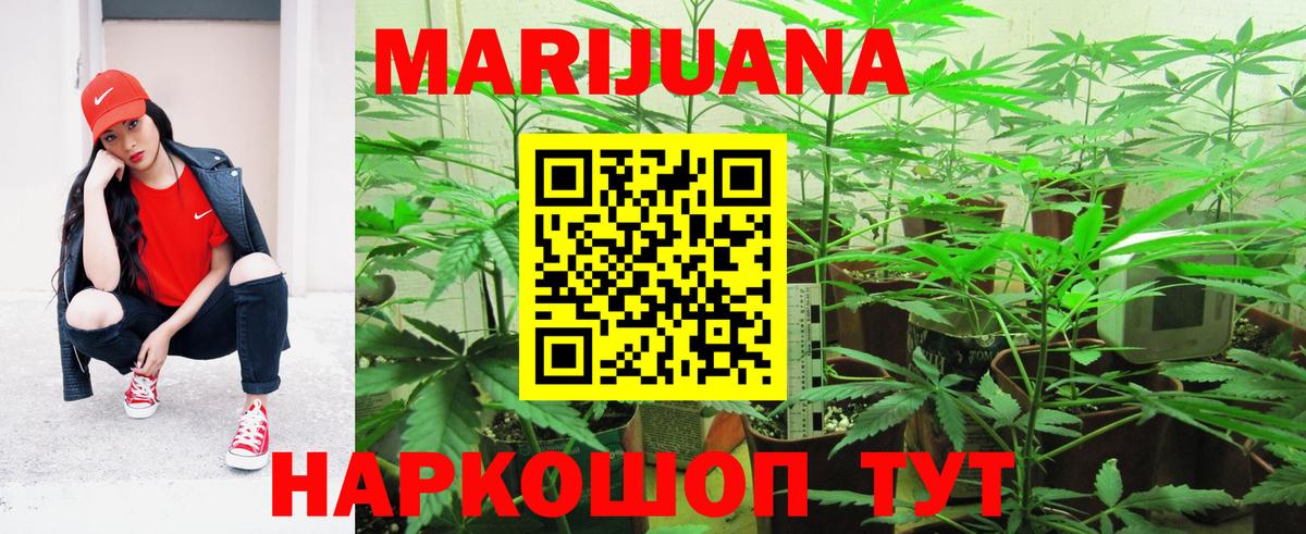 Шишки марихуана конопля Трёхгорный
